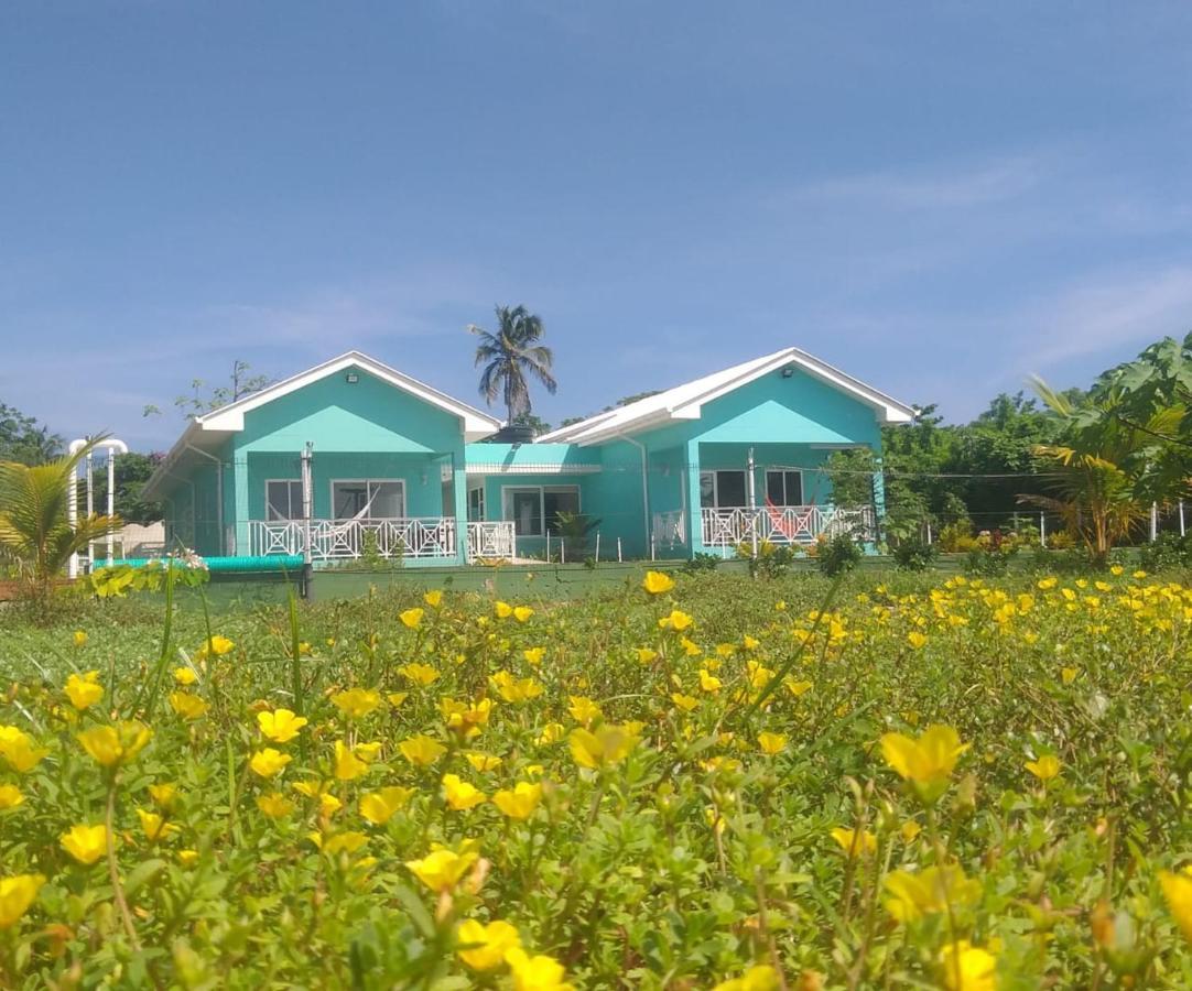Blue Lizard House Villa San Andrés Eksteriør billede