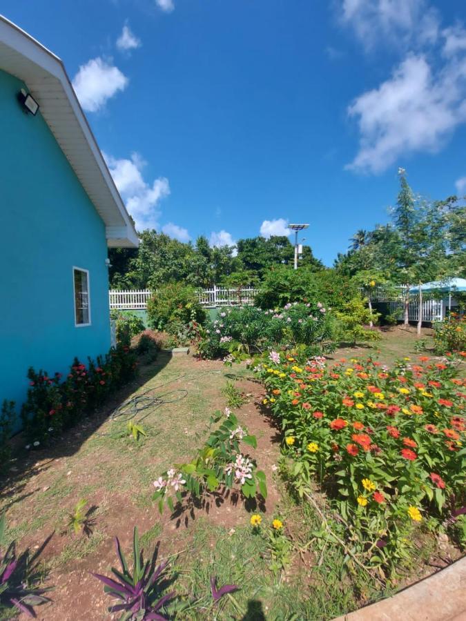 Blue Lizard House Villa San Andrés Eksteriør billede