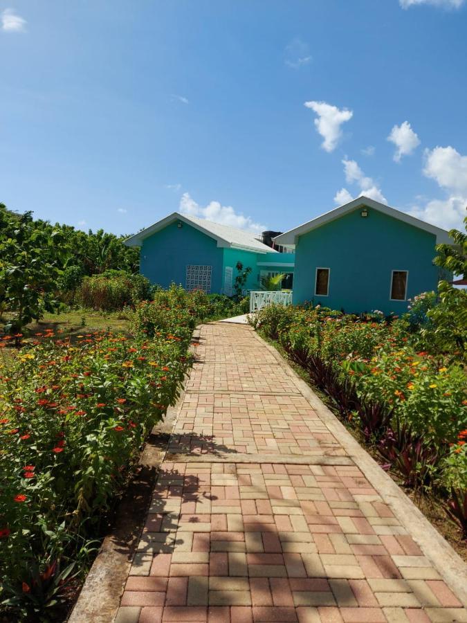 Blue Lizard House Villa San Andrés Eksteriør billede