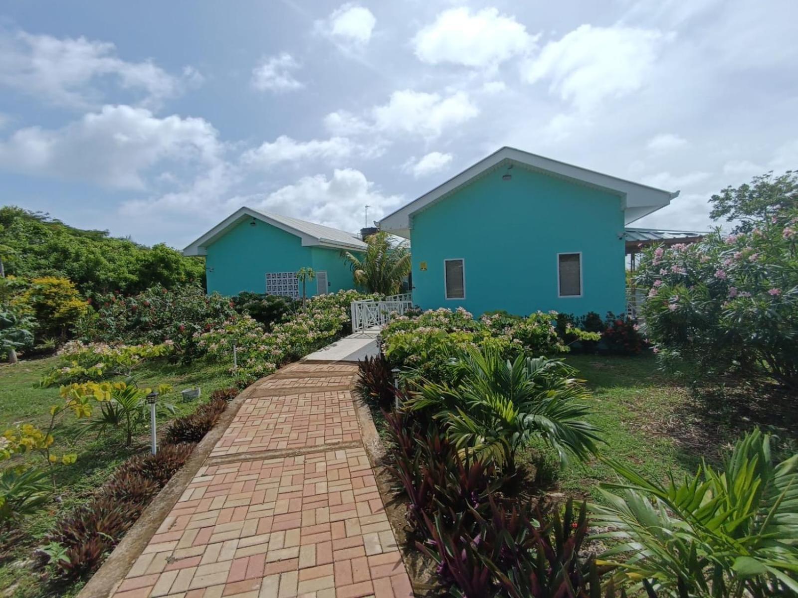 Blue Lizard House Villa San Andrés Eksteriør billede
