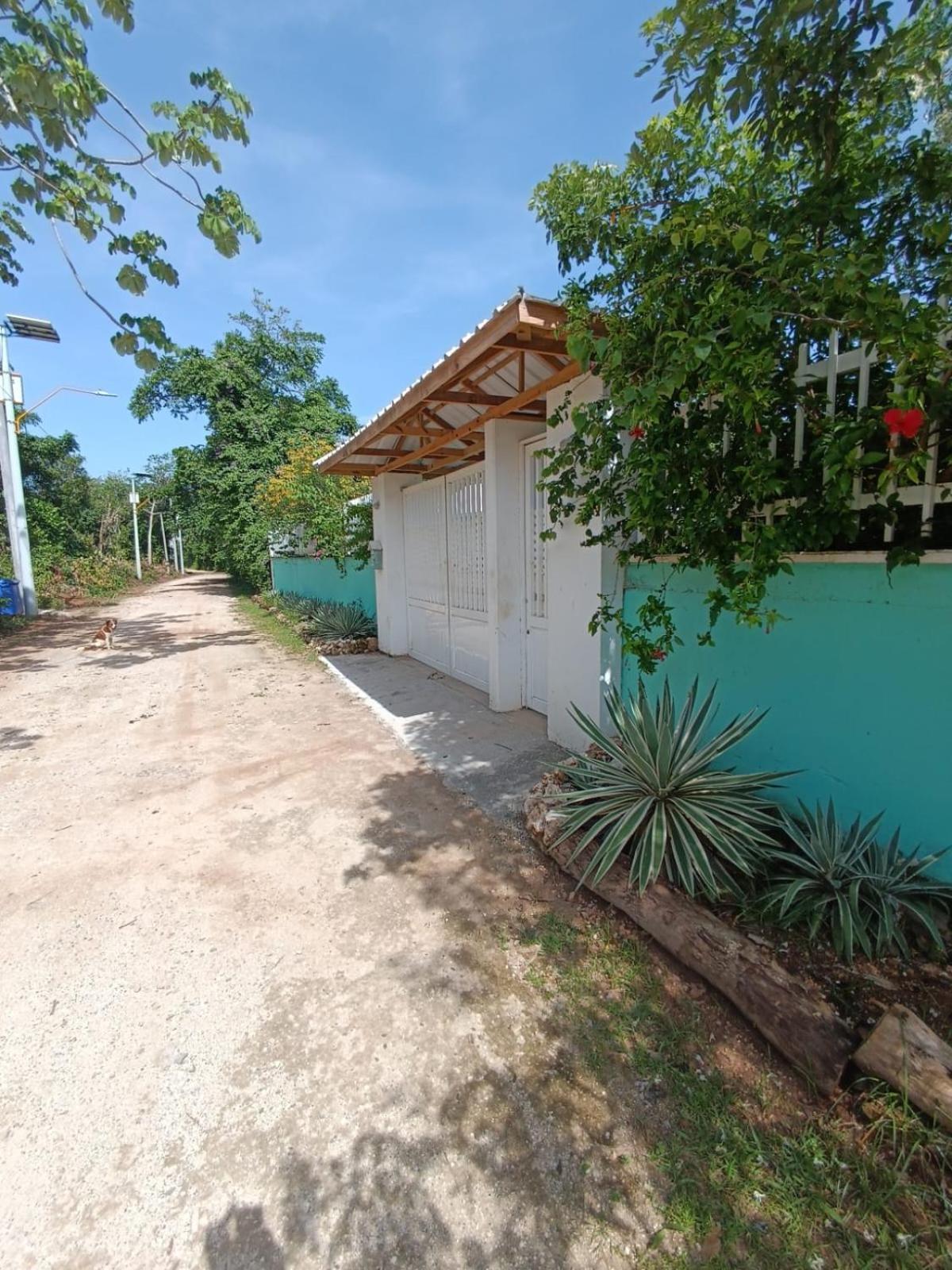 Blue Lizard House Villa San Andrés Eksteriør billede