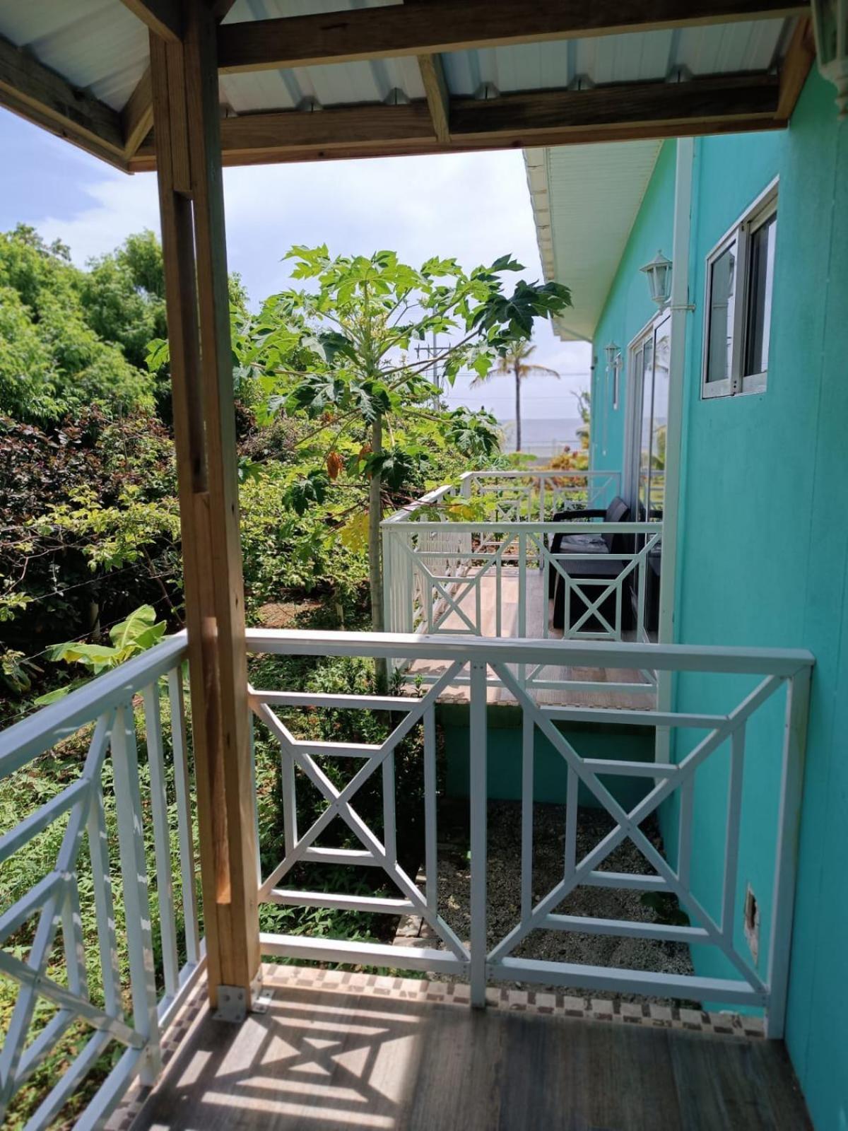 Blue Lizard House Villa San Andrés Eksteriør billede