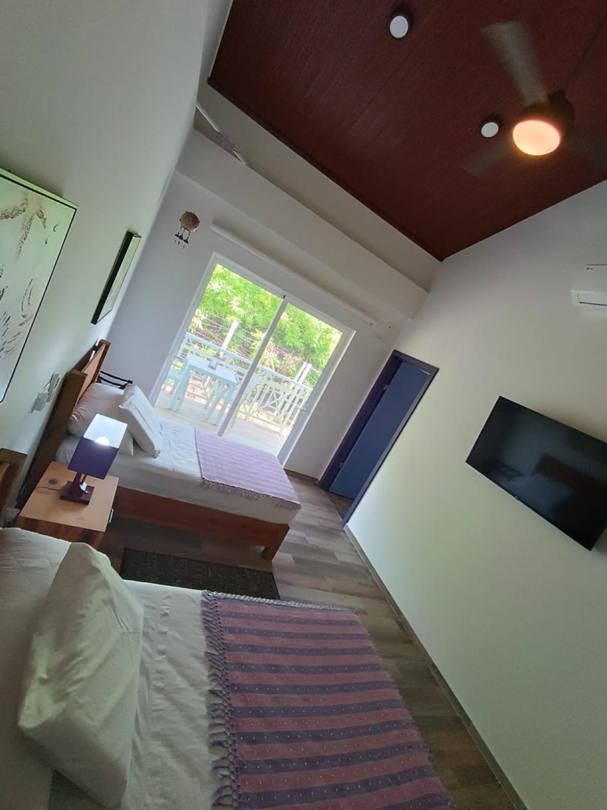 Blue Lizard House Villa San Andrés Eksteriør billede