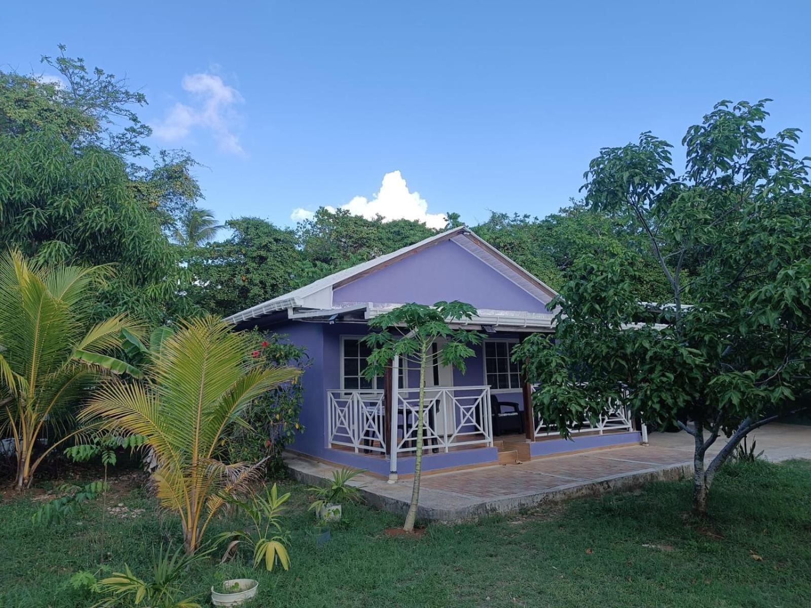 Blue Lizard House Villa San Andrés Eksteriør billede